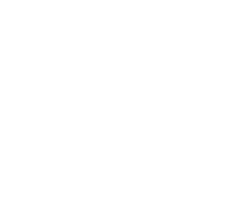 boundary